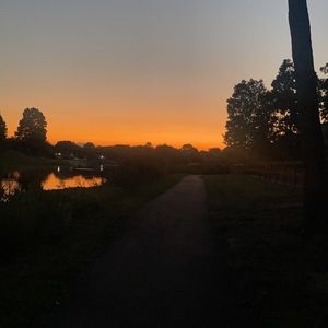 Meet your Posher, Bridget